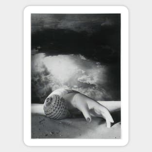 sans titre main coquillage 1934 - Dora Maar Sticker